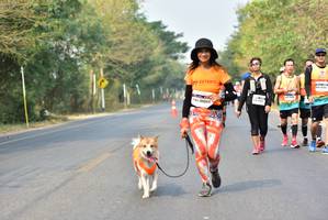 BIB: 
                            <button type="button" onclick="openModal(10196319)" class="btn btn-primary btn-sm float-right btn-popup" data-toggle="modal" data-target=".modal-high-quality">
                        <i class="fas fa-shopping-cart"></i> Add to Cart
                    </button>
                                            <button type="button" onclick="isThisMe(10196319, true)" class="btn btn-success btn-sm float-right btn-popup btn-isme hidden" data-toggle="tooltip" data-placement="bottom" title="นี่คือรูปของคุณใช่ไหม คลิกที่นี่เพื่อเอาเข้าอัลบั้ม">
                        <i class="fas fa-plus"></i> Add to album
                    </button>
                    <button type="button" onclick="isThisMe(10196319, false)" class="btn btn-warning btn-sm float-right btn-popup btn-isnotme hidden">
                        <i class="fas fa-ban"></i> Remove from album
                    </button>